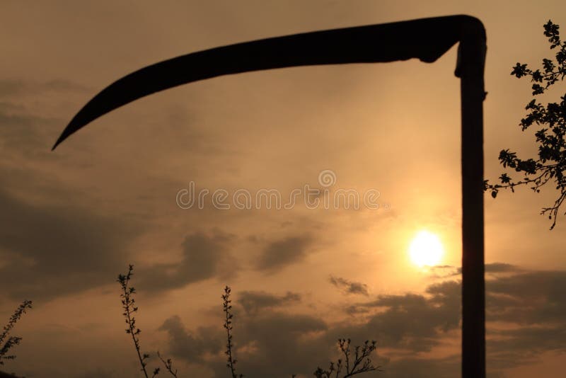 Field sunset and scythe