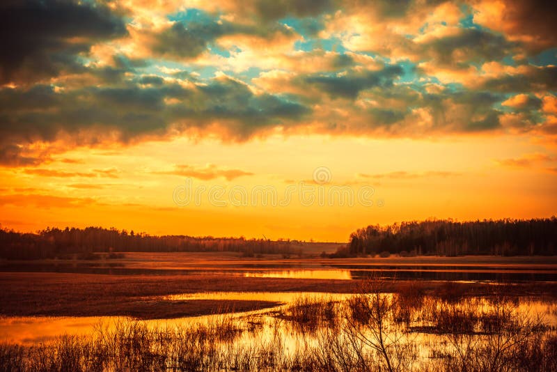 Field after the tide stock image. Image of cloudy, dreaming 69492451