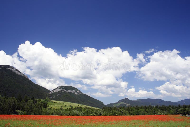 Field under mountains 4