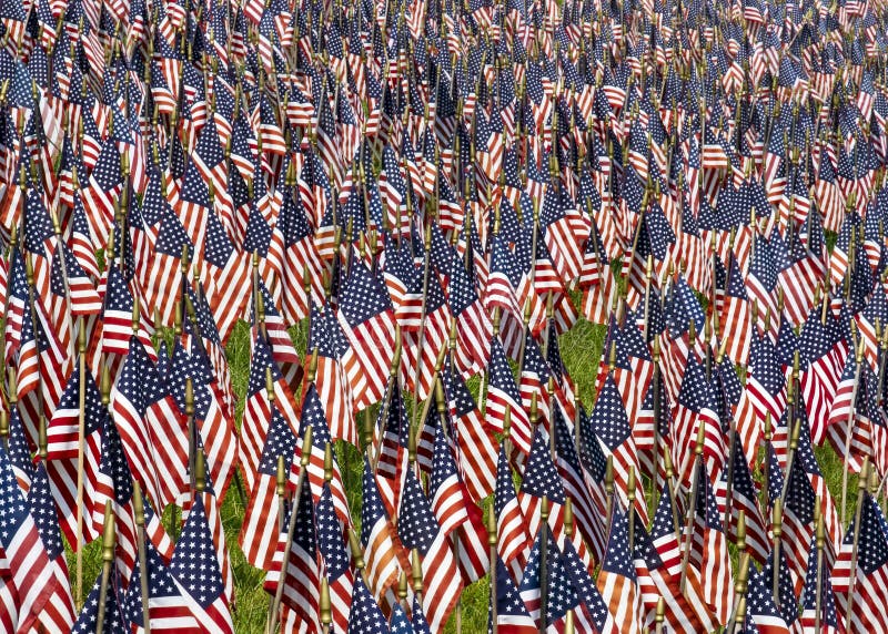 De, blanco, azul nosotros banderas por al honor caído héroes cual el dio ellos vida en servicio de ellos países.