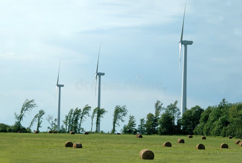 Field of Wind Mills