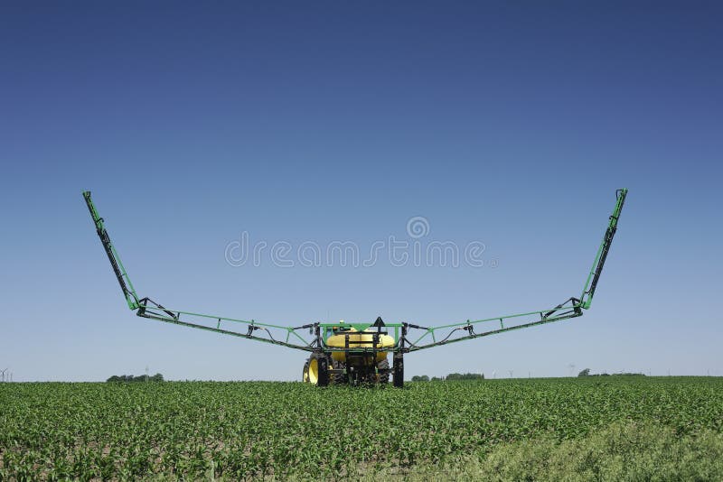 A línea cultivo agricultura practicas en el verano estación rociar campos de maíz.