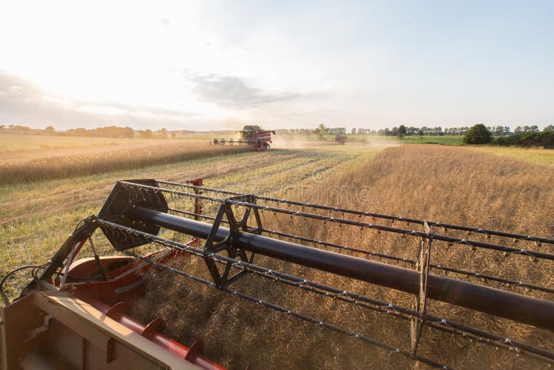 Field works stock photo. Image of crop, horizon, occupation 47601960