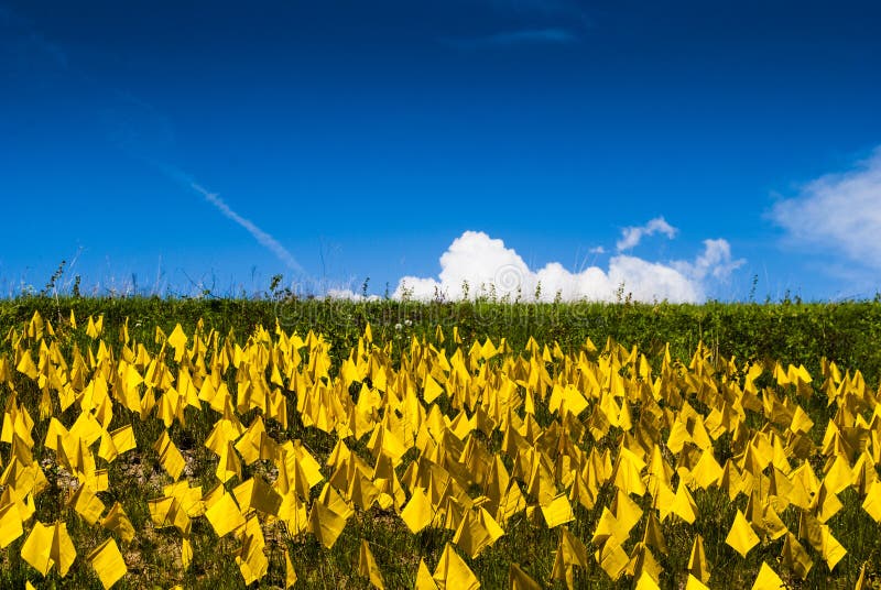 Field of yellow flags stock image. Image of flags, totem 97273595