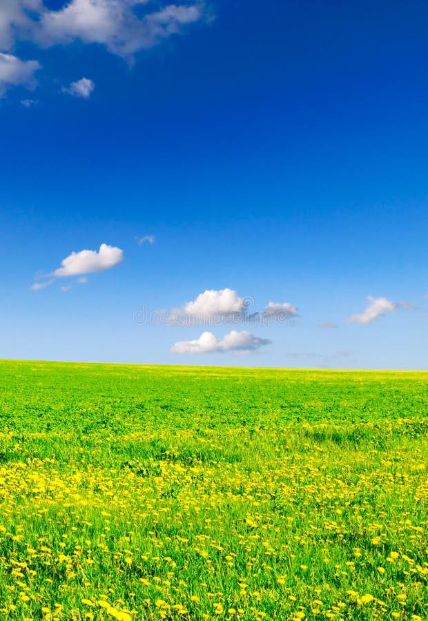 Spring fields stock image. Image of landscape, agriculture - 4517669