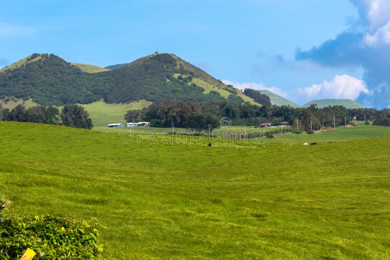 Fields Along Kohala Mountain Road, Hawaii Stock Photo Image of