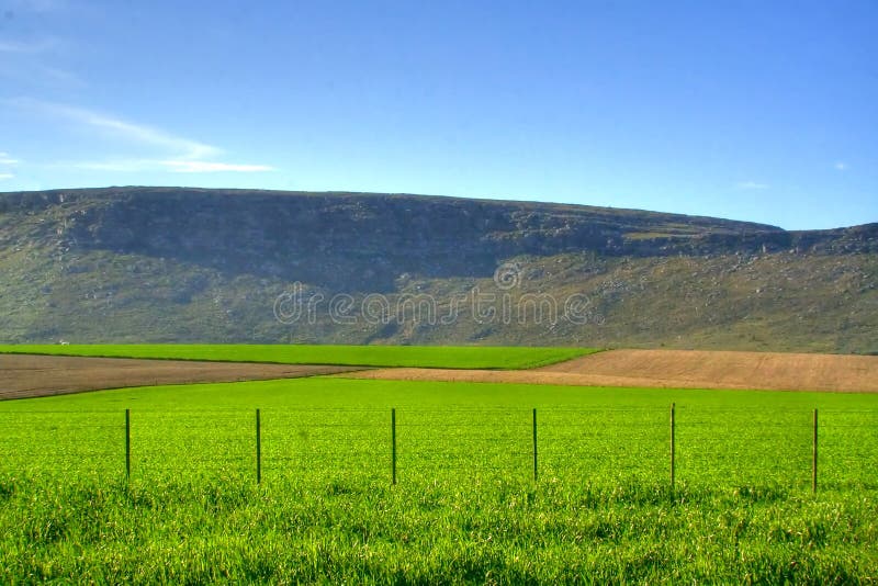 5,924 Grassy Plain Stock Photos Free & RoyaltyFree Stock Photos from