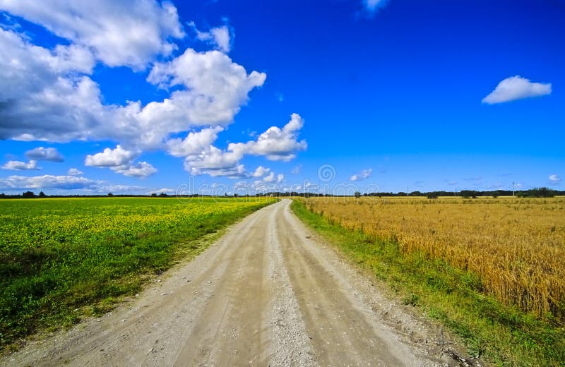 Fields in Estonia no.1