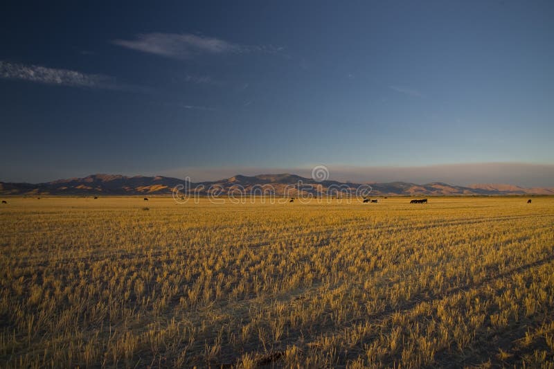 Fields in Idaho