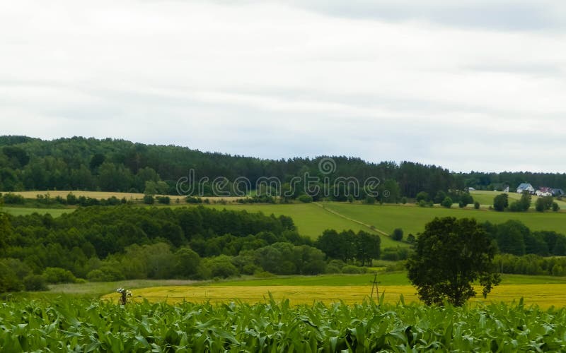 Fields and Meadows of Wiezyca, Kashubia Region, Poland Stock Photo
