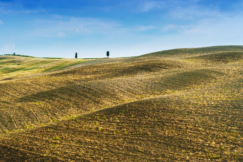 Fields and Peace in the Warm Sun of Tuscany, Italy Stock Image Image