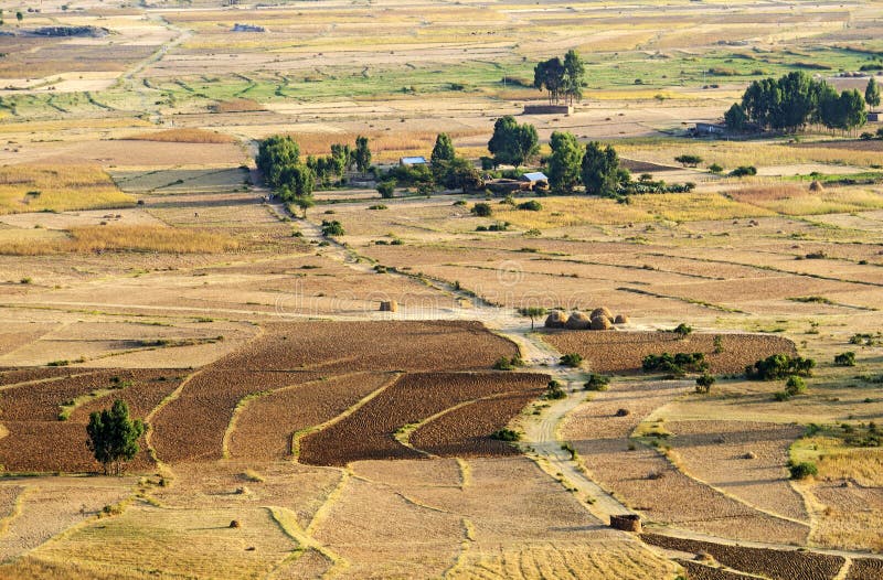 Fields and plots in the semi-desert plain