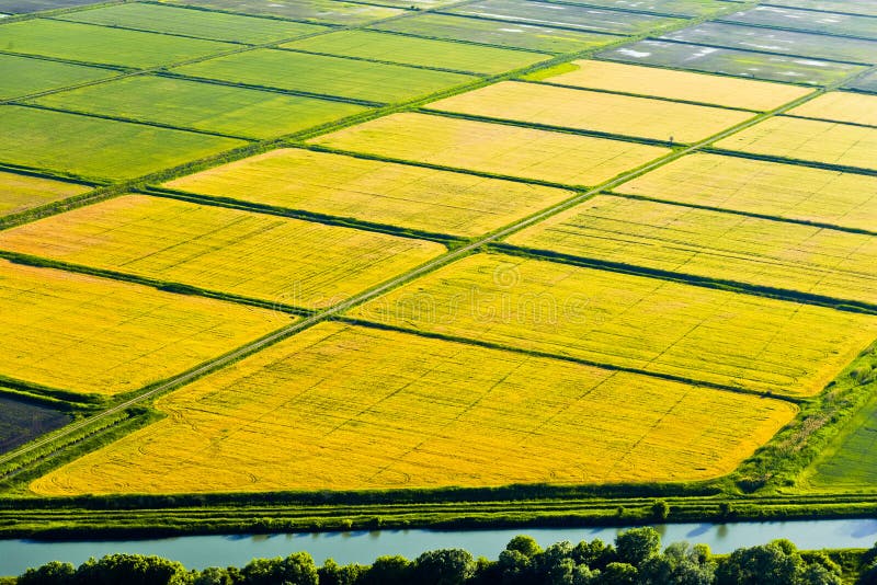 Download The fields, top view stock photo. Image of cereals, earth - 53131160