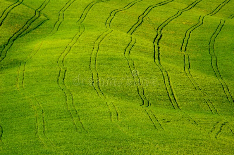 Fields with tractor tracks