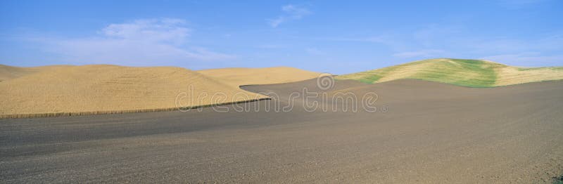 fields vete royaltyfri bild fields vete royaltyfri bild