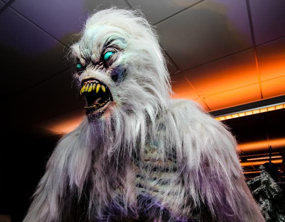 Fierce Yeti with Grey Hair on Display Stock Image - Image of disguise ...