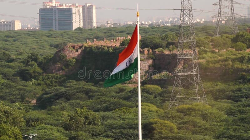 Fierté au milieu de l'histoire le drapeau indien s'envole dans la forêt des forts tughlaqabad clips vidéos