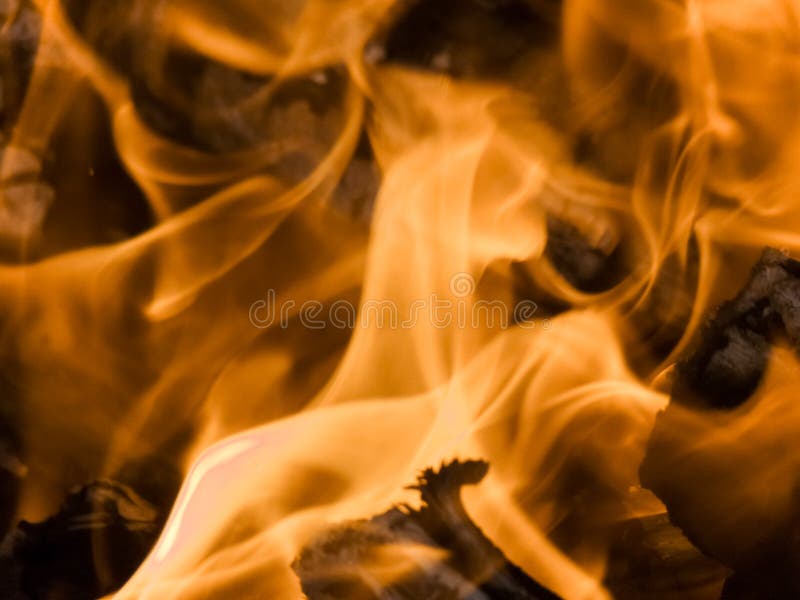 Fiery fire stock photo. Image of branch, barbecue, dangerous - 53353050