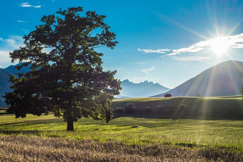 Fietch fields on Sonnenplateau, Austria
