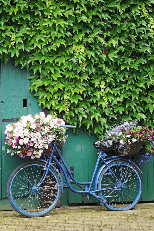 Велосипед в цветах зеленый. Велосипед с цветами. Сочетание цветов на велосипеде. Желтые цветы с велосипедом. Спортивный велосипед и цветы.