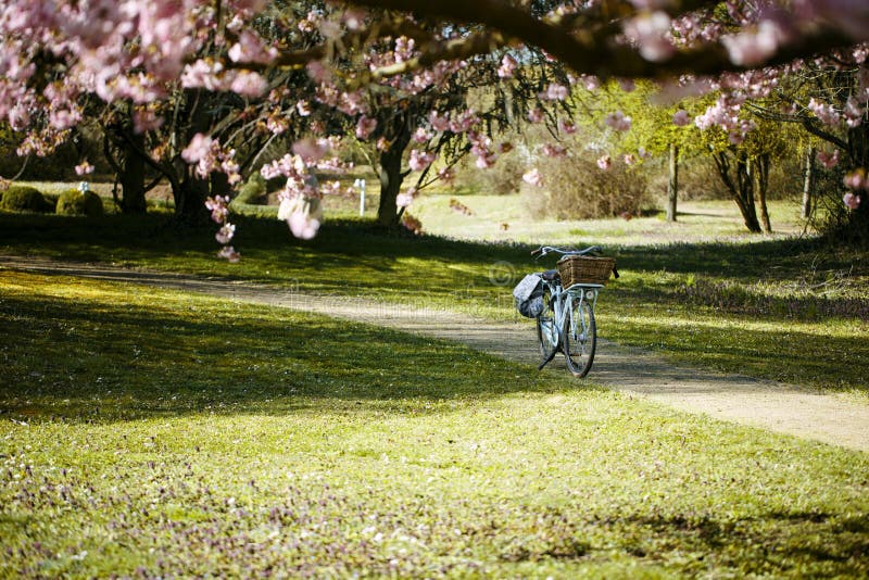Fiets op Kleine Weg in het Park royalty-vrije stock foto's