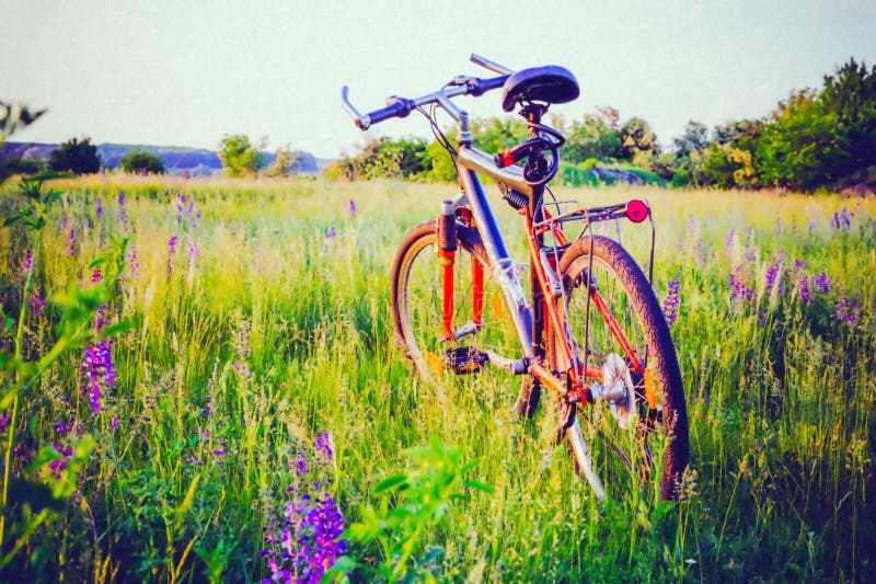 Fiets op weide stock afbeeldingen Fiets op weide stock afbeeldingen