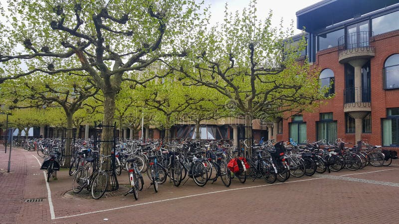 Fietsenparkeerterrein, Universiteit van Leiden royalty-vrije stock foto Fietsenparkeerterrein, Universiteit van Leiden royalty-vrije stock foto