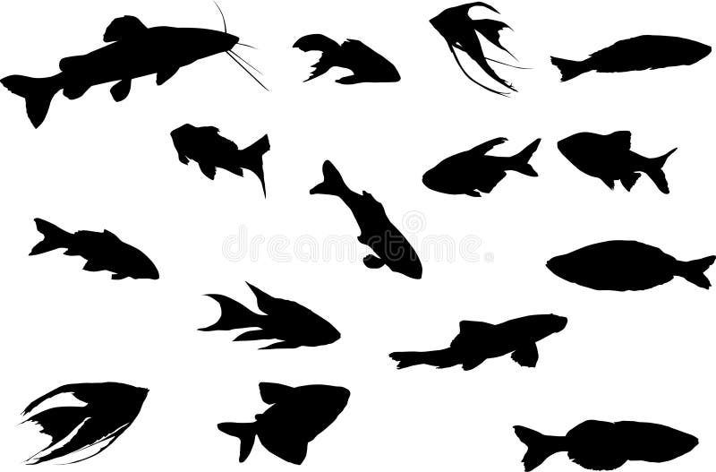 Fifteen fish silhouettes stock illustration. Illustration of silhouette ...