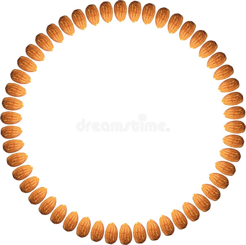 Fifty Almonds arranged along periphery in circle isolated against white background royalty free illustration