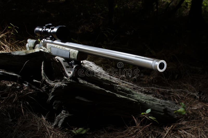 Sniper Rifle 50 Bmg Cal Stock Photo - Download Image Now - Ammunition,  Ammunition Magazine, Animal Nose - iStock