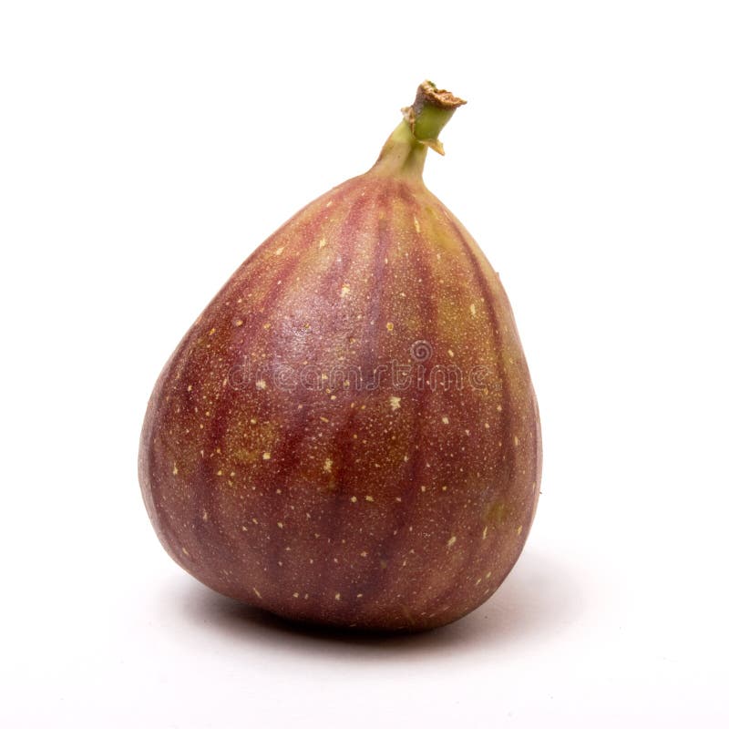 Ripe Purple and Green Fig Fruit Isolated Stock Image Image of healthy