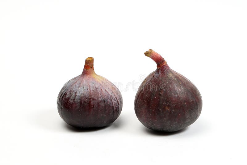Fig Fruit Flower stock photo. Image of snack, fruit, closeup 74790822