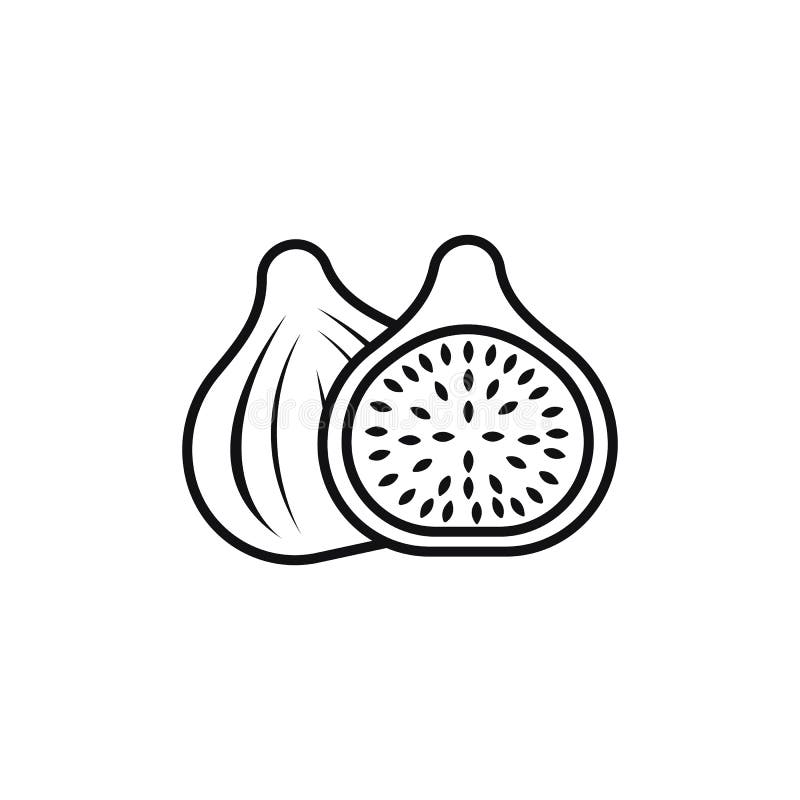 Fig Fruit Icon Illustration. Premium Quality Flat Icon Stock