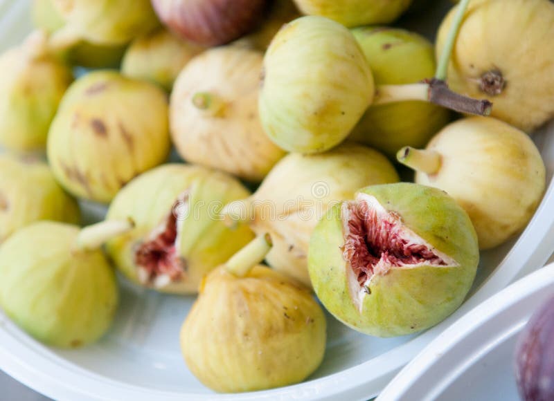 Healthy green Fig Fruits stock photo. Image of ficus 46094584