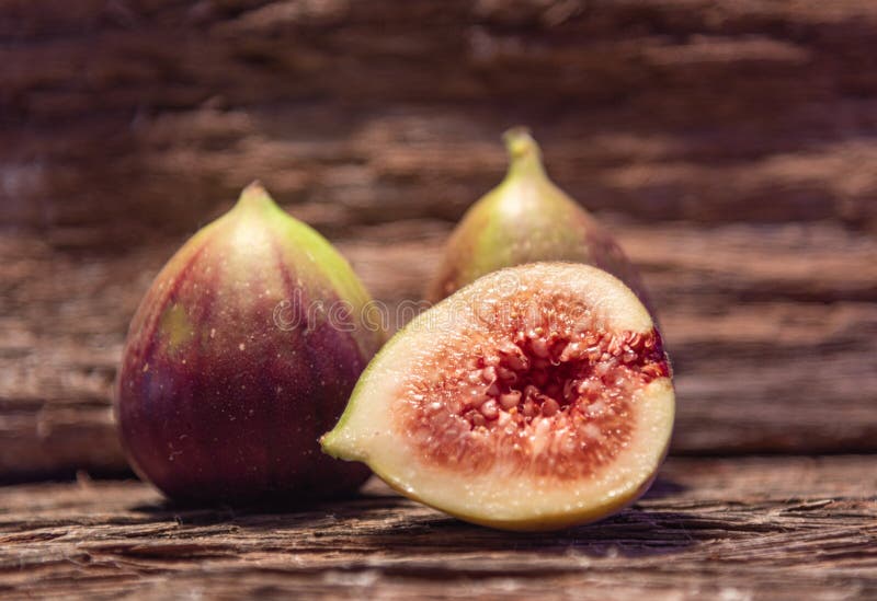 Fig tree fruit scientific name