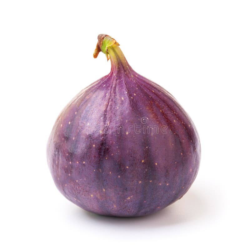 Fig