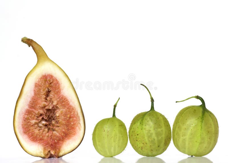 Fig and Three Goosberries