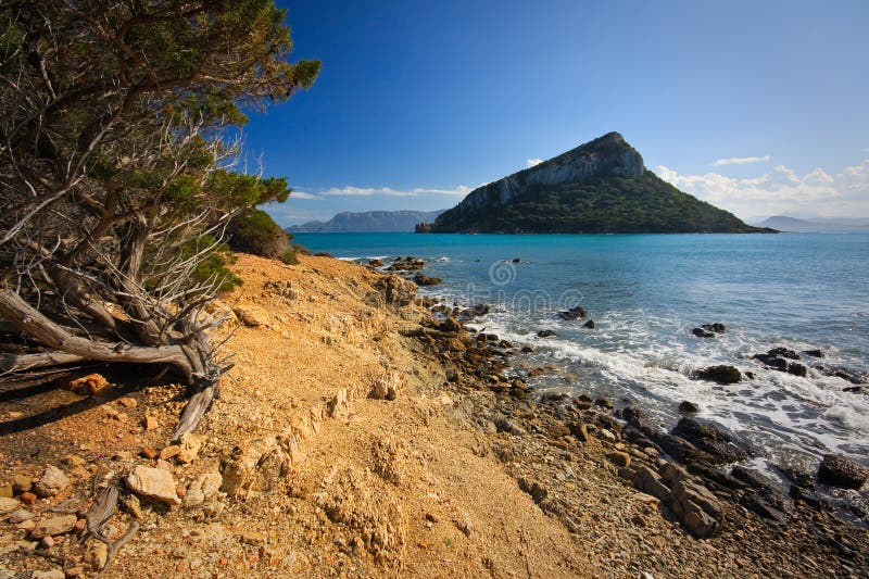 Figarolo island, Sardinia.