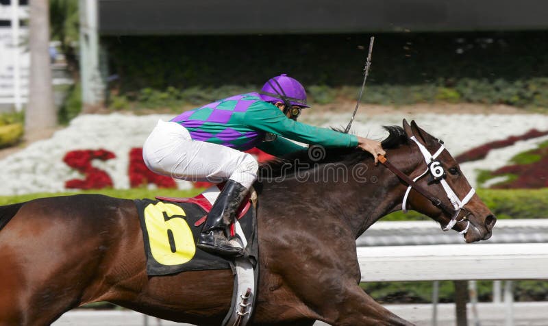 Closeup of a jockey guiding his mount towards the finish line. Closeup of a jockey guiding his mount towards the finish line.