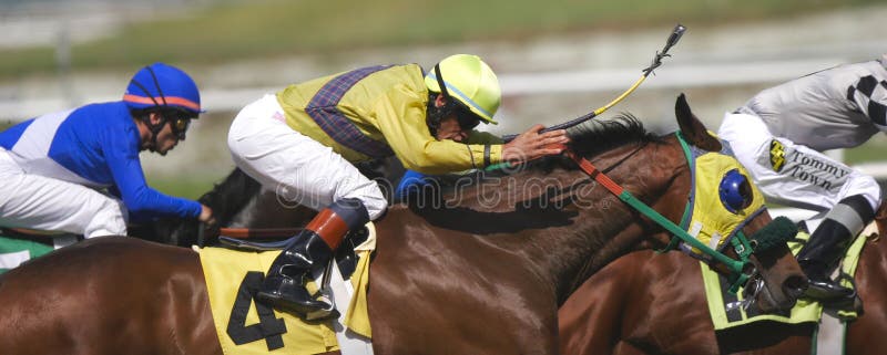 Extreme close-up of a jockey guiding his horse to the finish in a thoroughbred horse race. Extreme close-up of a jockey guiding his horse to the finish in a thoroughbred horse race.