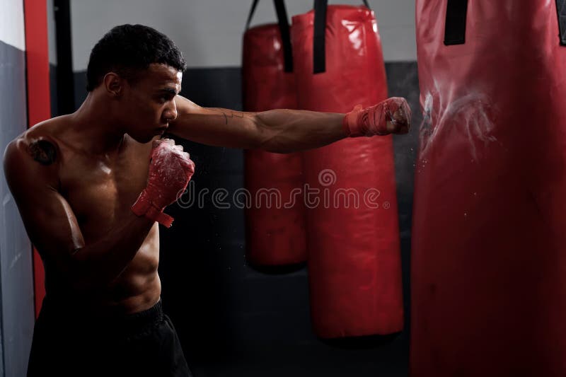 Fight training royalty free stock photo