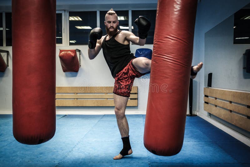 Fighter Training with Punching Bag at Gym Stock Photo Image of boxer