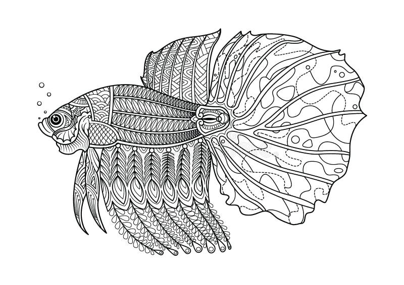 Vektor Tegak Gambar  Ikan  Cupang Vector