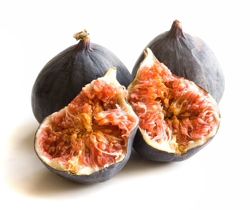 Figo imagem de stock royalty free