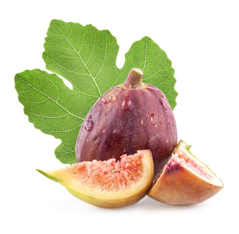 Figs with Fig Leaves on White Background Stock Photo Image of exotic