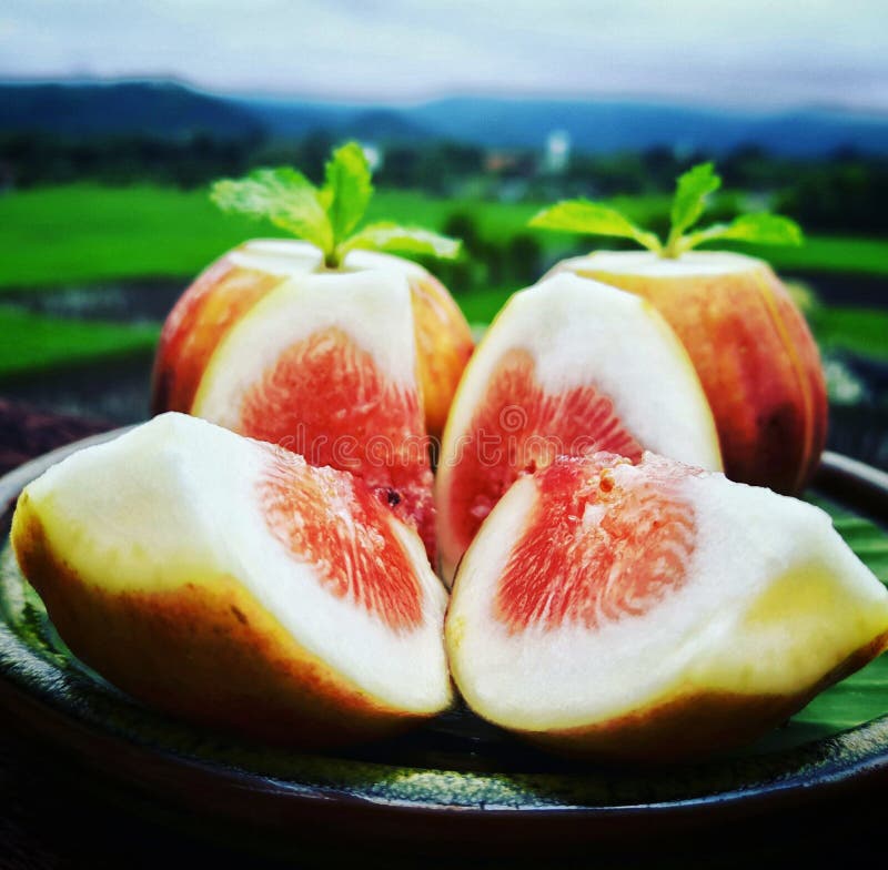 Figs fruit. stock photo. Image of morning, lunch, figs 77845152