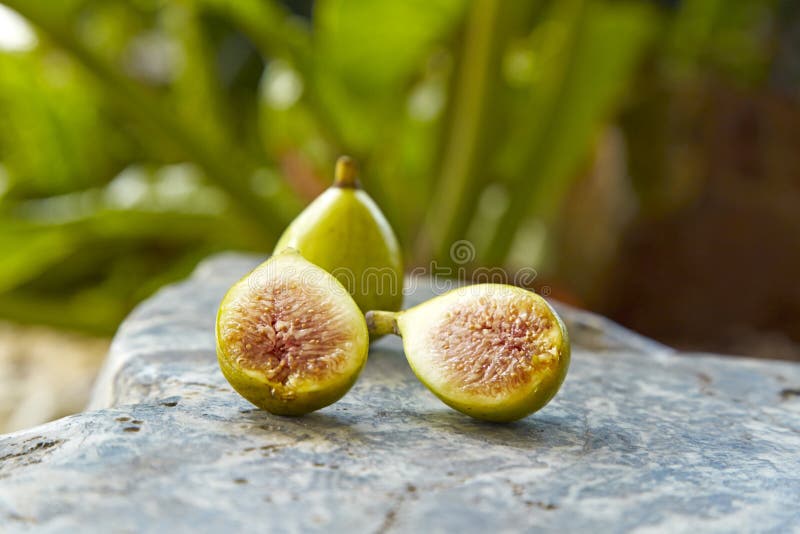 Figs fruit stock image. Image of green, harvest, fruit 80013243