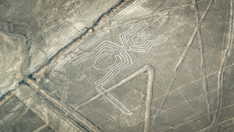 A figura da aranha como visto no Nasca alinha, Nazca, Peru