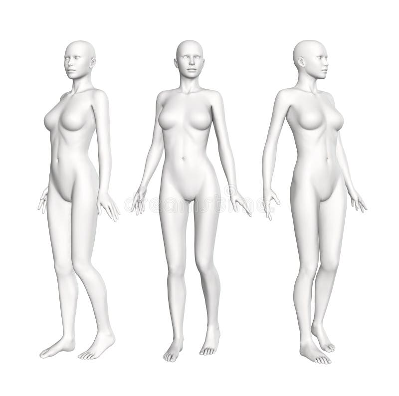 Figura femminile di anatomia