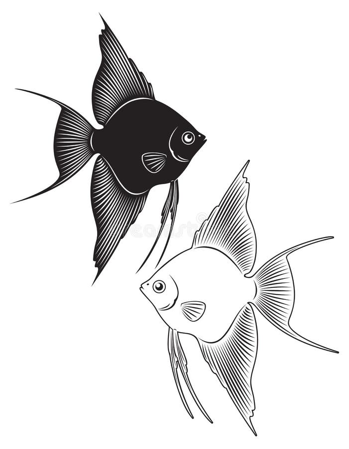 Download Angelfish ilustração do vetor. Ilustração de angelfish - 29844350
